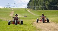 bullcarts racing